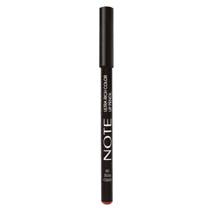 NOTE Cosmetics Ultra Rich Color Lip Pencil-09 Dried Rose
